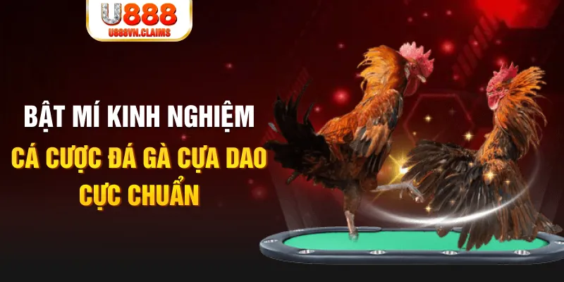 link 12bet trong baccarat, ai là người chia bài chính？