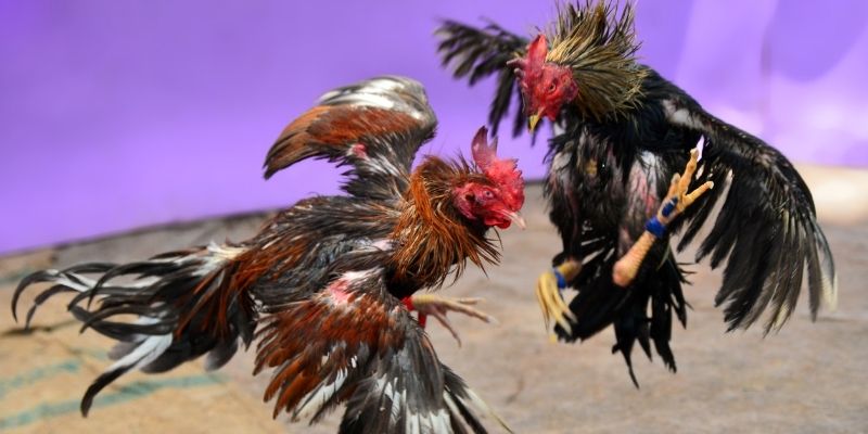 link 12bet nổ hũ tiếng anh là gì