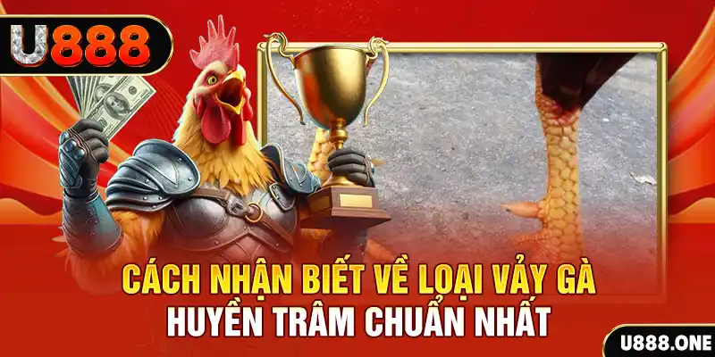 link 12bet Chú hề Patty tuổi teen