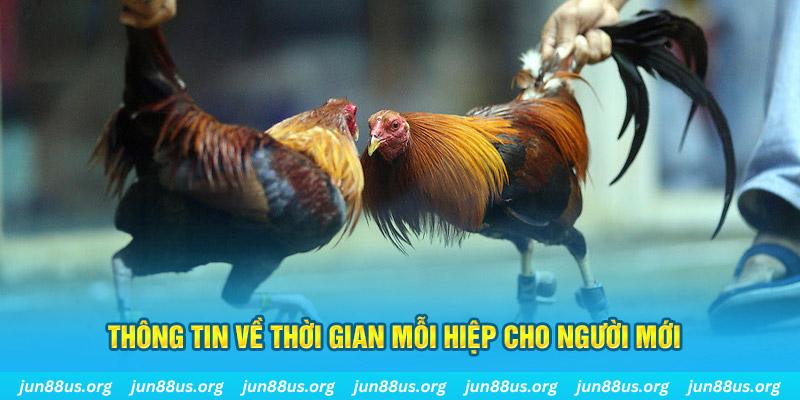 link 12bet Long Hổ 2