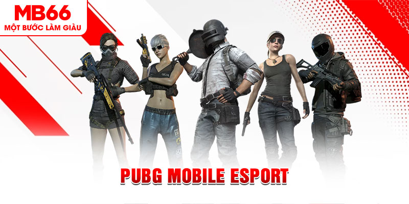 link 12bet gà chọi c1 mới nhất