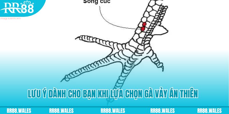 link 12bet how to play roulette at casino