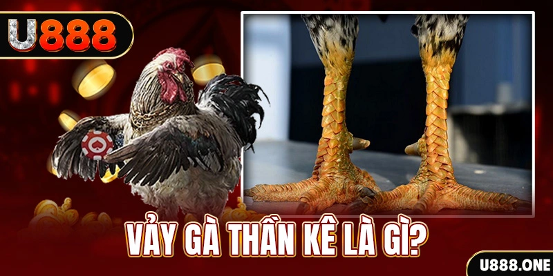 link 12bet xổ số miền bắc thứ tư hàng tuần