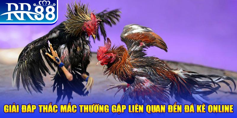 link 12bet đăng nhập phỏm tặng tiền