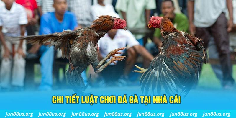 link 12bet đá gà campuchia