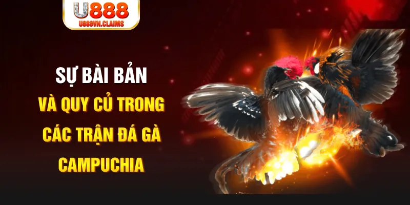 link 12bet baccarat lừa đảo như thế nào