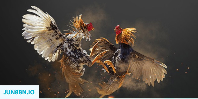 link 12bet đăng nhập sòng bạc miễn phí